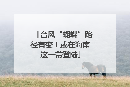 台风“蝴蝶”路径有变！或在海南这一带登陆