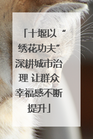 十堰以“绣花功夫”深耕城市治理 让群众幸福感不断提升