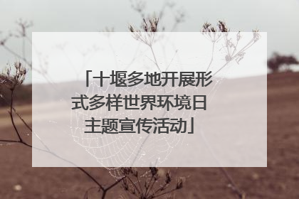 十堰多地开展形式多样世界环境日主题宣传活动