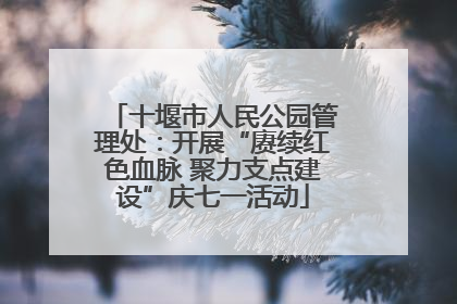 十堰市人民公园管理处：开展“赓续红色血脉 聚力支点建设”庆七一活动