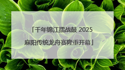 千年锦江擂战鼓 2025麻阳传统龙舟赛隆重开幕