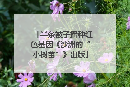 半条被子播种红色基因《沙洲的“小树苗”》出版