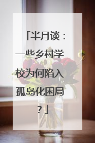 半月谈：一些乡村学校为何陷入孤岛化困局？