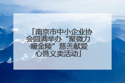 南京市中小企业协会圆满举办“聚微力·暖金陵”慈善献爱心暨义卖活动