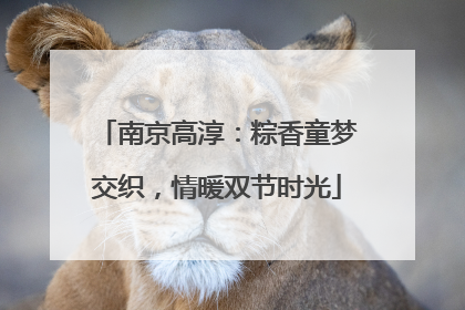 南京高淳：粽香童梦交织，情暖双节时光