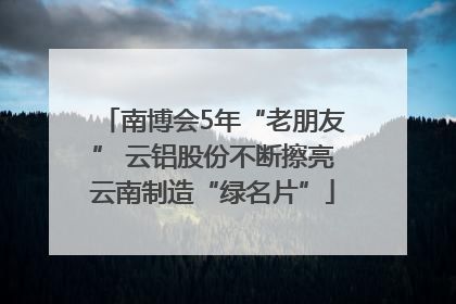 南博会5年“老朋友” 云铝股份不断擦亮云南制造“绿名片”