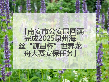 南安市公安局圆满完成2025泉州海丝“源昌杯”世界龙舟大赛安保任务