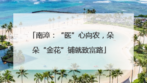 南漳：“医”心向农，朵朵“金花”铺就致富路