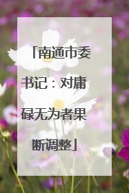 南通市委书记：对庸碌无为者果断调整
