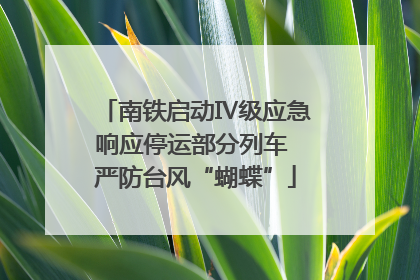 南铁启动Ⅳ级应急响应停运部分列车 严防台风“蝴蝶”