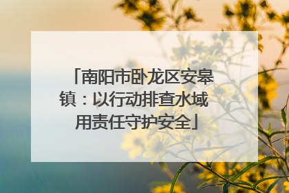 南阳市卧龙区安皋镇：以行动排查水域 用责任守护安全