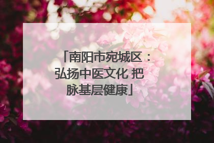 南阳市宛城区：弘扬中医文化 把脉基层健康