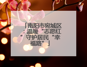 南阳市宛城区：温暖“志愿红”守护居民“幸福路”