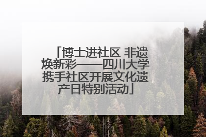 博士进社区 非遗焕新彩——四川大学携手社区开展文化遗产日特别活动