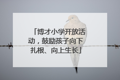 博才小学开放活动，鼓励孩子向下扎根、向上生长