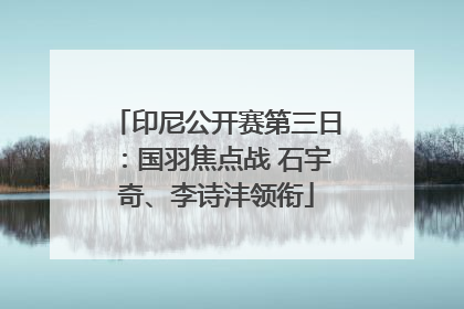 印尼公开赛第三日：国羽焦点战 石宇奇、李诗沣领衔