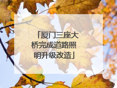 厦门三座大桥完成道路照明升级改造