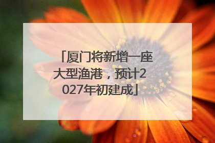 厦门将新增一座大型渔港，预计2027年初建成