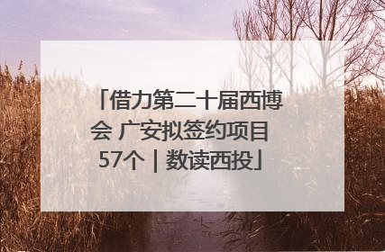 借力第二十届西博会 广安拟签约项目57个｜数读西投