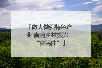 做大做强特色产业 奏响乡村振兴“富民曲”