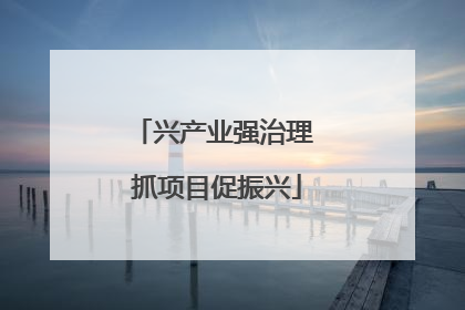 兴产业强治理 抓项目促振兴