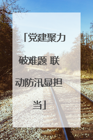 党建聚力破难题 联动防汛显担当