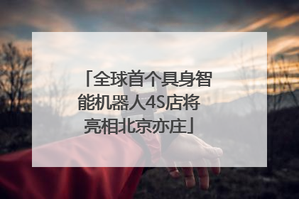 全球首个具身智能机器人4S店将亮相北京亦庄