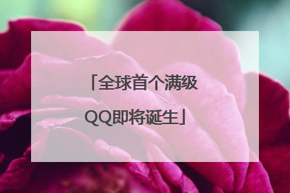 全球首个满级QQ即将诞生