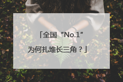 全国“No.1”为何扎堆长三角？