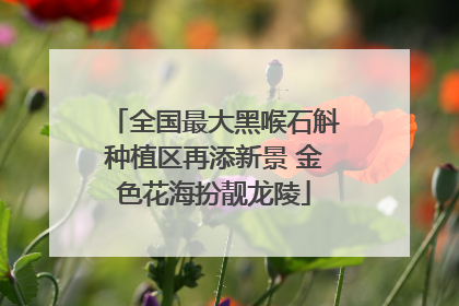 全国最大黑喉石斛种植区再添新景 金色花海扮靓龙陵