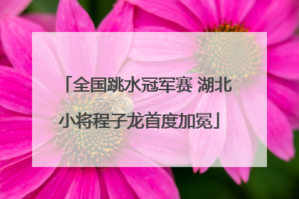 全国跳水冠军赛 湖北小将程子龙首度加冕