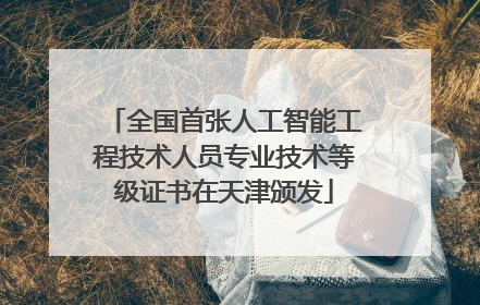 全国首张人工智能工程技术人员专业技术等级证书在天津颁发
