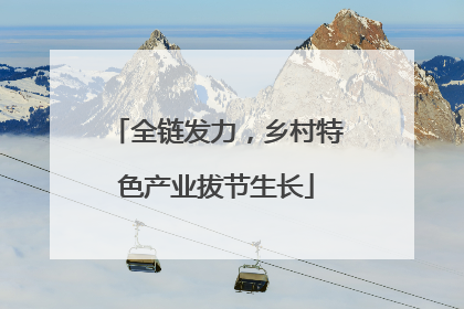 全链发力，乡村特色产业拔节生长