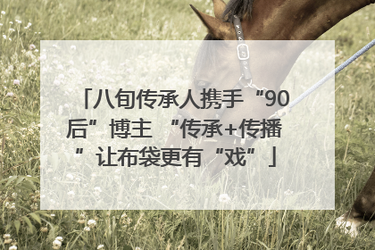 八旬传承人携手“90后”博主 “传承+传播”让布袋更有“戏”