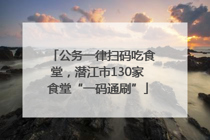 公务一律扫码吃食堂，潜江市130家食堂“一码通刷”