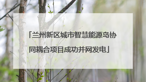兰州新区城市智慧能源岛协同耦合项目成功并网发电