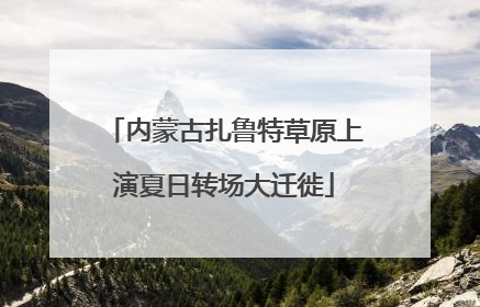 内蒙古扎鲁特草原上演夏日转场大迁徙