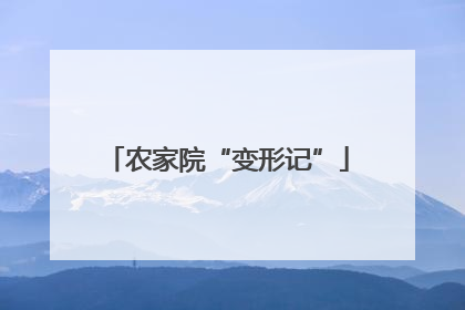 农家院“变形记”
