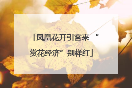 凤凰花开引客来 “赏花经济”别样红