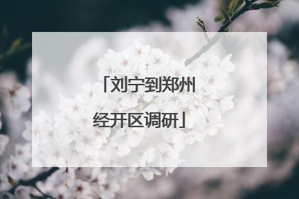 刘宁到郑州经开区调研
