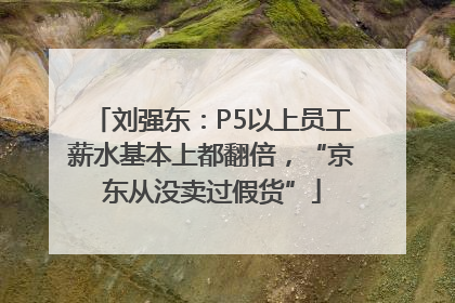 刘强东：P5以上员工薪水基本上都翻倍，“京东从没卖过假货”