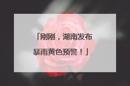 刚刚，湖南发布暴雨黄色预警！