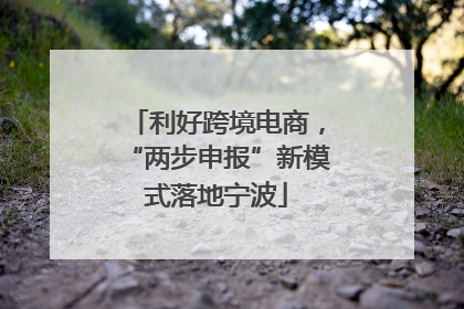 利好跨境电商，“两步申报”新模式落地宁波