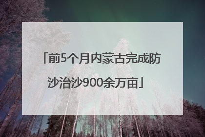 前5个月内蒙古完成防沙治沙900余万亩
