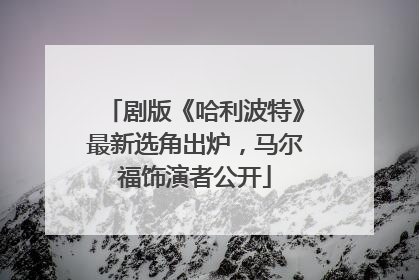 剧版《哈利波特》最新选角出炉，马尔福饰演者公开