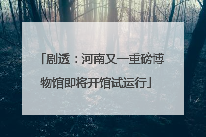 剧透：河南又一重磅博物馆即将开馆试运行