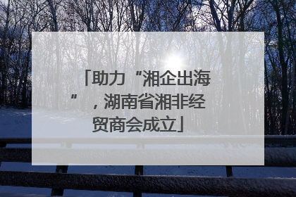 助力“湘企出海”，湖南省湘非经贸商会成立