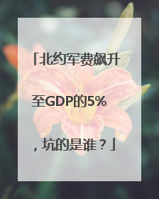 北约军费飙升至GDP的5%，坑的是谁？