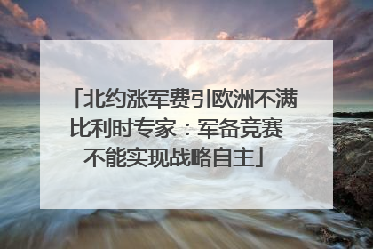 北约涨军费引欧洲不满 比利时专家：军备竞赛不能实现战略自主