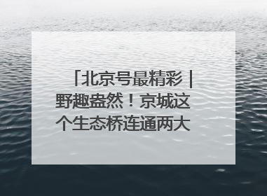 北京号最精彩｜野趣盎然！京城这个生态桥连通两大网红公园